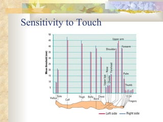 Sensitivity to Touch 