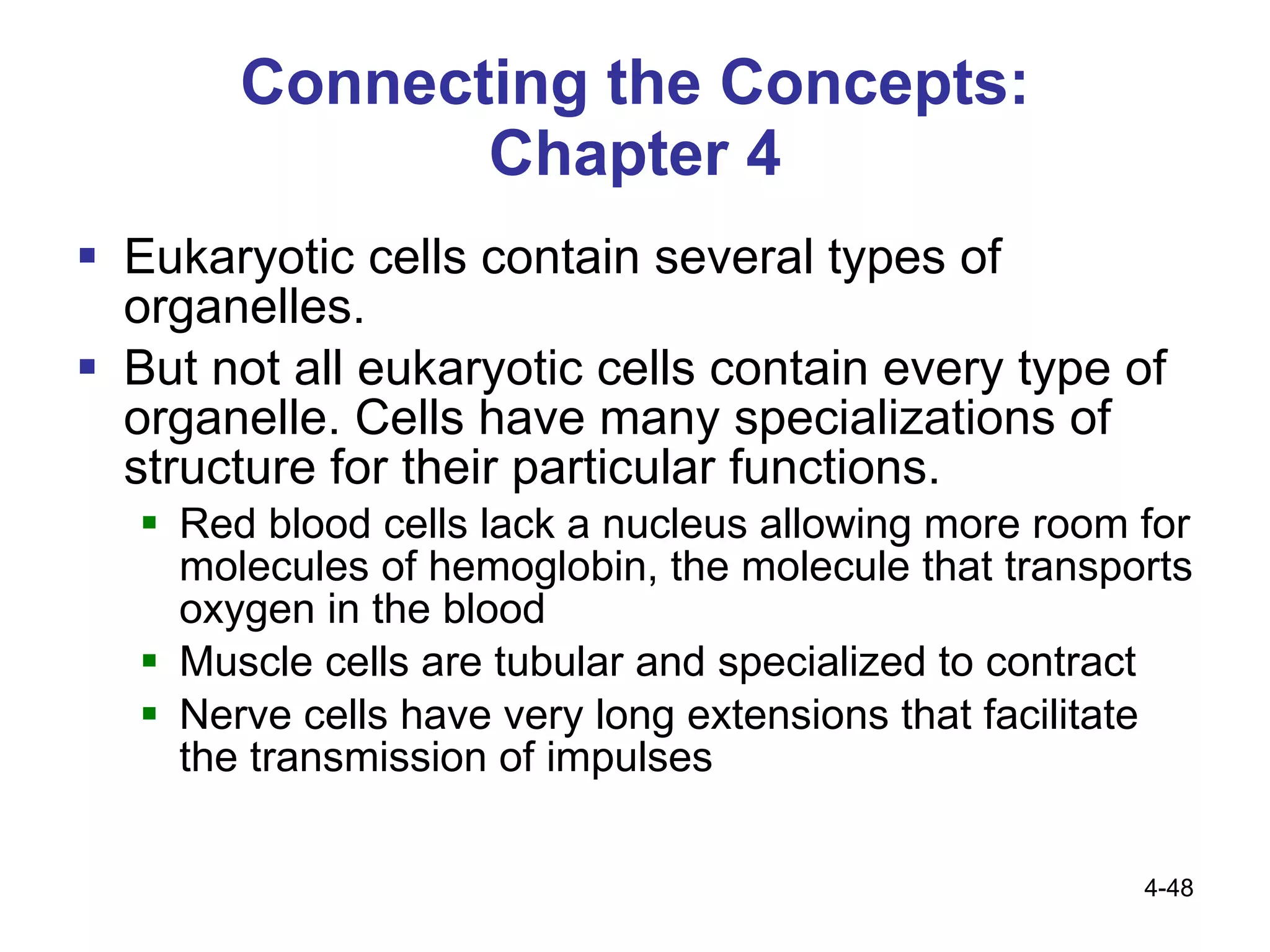 Ch 4 structure and function of cells | PPT