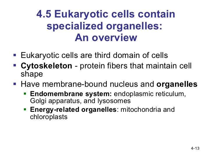 Ch 4 Structure And Function Of Cells