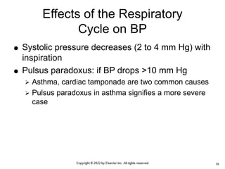  Systolic pressure decreases (2 to 4 mm Hg) with
inspiration
 Pulsus paradoxus: if BP drops >10 mm Hg
 Asthma, cardiac tamponade are two common causes
 Pulsus paradoxus in asthma signifies a more severe
case
Effects of the Respiratory
Cycle on BP
19
 
