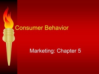 Consumer Behavior Marketing: Chapter 5 