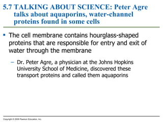 5.7  TALKING ABOUT SCIENCE:  Peter Agre talks about aquaporins, water-channel proteins found in some cells The cell membrane contains hourglass-shaped proteins that are responsible for entry and exit of water through the membrane Dr. Peter Agre, a physician at the Johns Hopkins University School of Medicine, discovered these transport proteins and called them aquaporins Copyright © 2009 Pearson Education, Inc. 