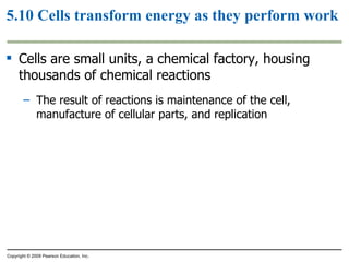 5.10 Cells transform energy as they perform work Cells are small units, a chemical factory, housing thousands of chemical reactions The result of reactions is maintenance of the cell, manufacture of cellular parts, and replication  Copyright © 2009 Pearson Education, Inc. 