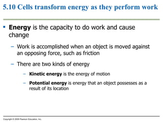 5.10 Cells transform energy as they perform work Energy  is the capacity to do work and cause change Work is accomplished when an object is moved against an opposing force, such as friction There are two kinds of energy Kinetic energy  is the energy of motion Potential energy  is energy that an object possesses as a result of its location Copyright © 2009 Pearson Education, Inc. 