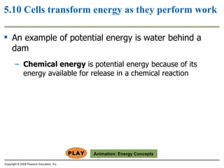 5.10 Cells transform energy as they perform work An example of potential energy is water behind a dam Chemical energy  is potential energy because of its energy available for release in a chemical reaction Copyright © 2009 Pearson Education, Inc. Animation:  Energy Concepts 