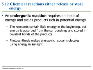 5.12 Chemical reactions either release or store energy An  endergonic reaction  requires an input of energy and yields products rich in potential energy The reactants contain little energy in the beginning, but energy is absorbed from the surroundings and stored in covalent bonds of the products Photosynthesis makes energy-rich sugar molecules using energy in sunlight Copyright © 2009 Pearson Education, Inc. 
