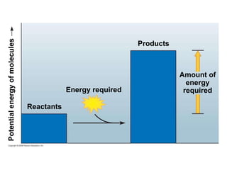 Reactants Potential energy of molecules Energy required Products Amount of energy required 