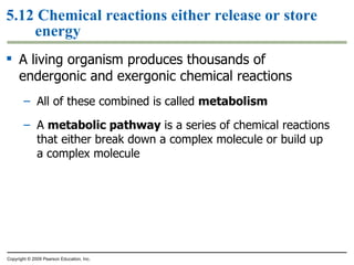 5.12 Chemical reactions either release or store energy A living organism produces thousands of endergonic and exergonic chemical reactions All of these combined is called  metabolism A  metabolic pathway  is a series of chemical reactions that either break down a complex molecule or build up a complex molecule Copyright © 2009 Pearson Education, Inc. 