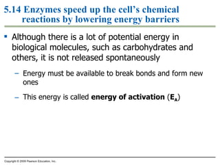 5.14 Enzymes speed up the cell’s chemical reactions by lowering energy barriers Although there is a lot of potential energy in biological molecules, such as carbohydrates and others, it is not released spontaneously Energy must be available to break bonds and form new ones This energy is called  energy of activation  ( E A ) Copyright © 2009 Pearson Education, Inc. 