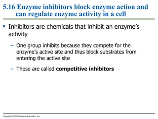 5.16 Enzyme inhibitors block enzyme action and can regulate enzyme activity in a cell Inhibitors are chemicals that inhibit an enzyme’s activity One group inhibits because they compete for the enzyme’s active site and thus block substrates from entering the active site These are called  competitive inhibitors Copyright © 2009 Pearson Education, Inc. 