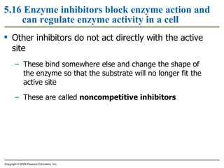 5.16 Enzyme inhibitors block enzyme action and can regulate enzyme activity in a cell Other inhibitors do not act directly with the active site These bind somewhere else and change the shape of the enzyme so that the substrate will no longer fit the active site These are called  noncompetitive inhibitors Copyright © 2009 Pearson Education, Inc. 