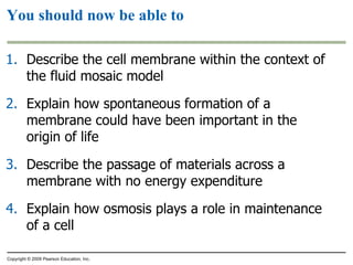 Describe the cell membrane within the context of the fluid mosaic model Explain how spontaneous formation of a membrane could have been important in the origin of life Describe the passage of materials across a membrane with no energy expenditure Explain how osmosis plays a role in maintenance of a cell You should now be able to Copyright © 2009 Pearson Education, Inc. 