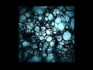 Photo Design-Chapter 5-Intent