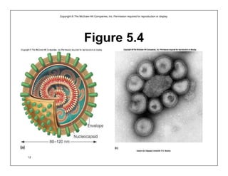 Viruses and Other Acellular Infectious Agents | PDF