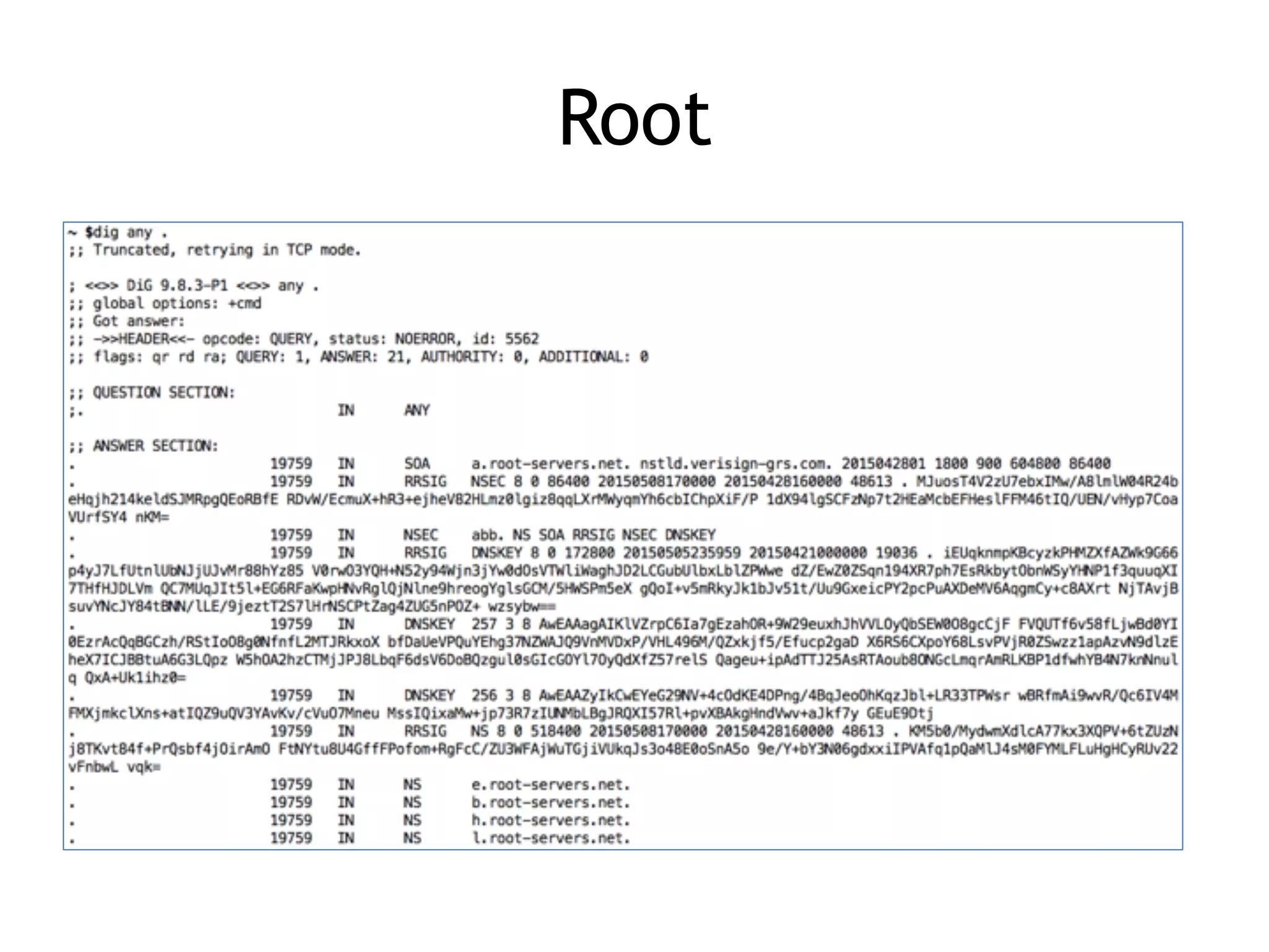Root
 