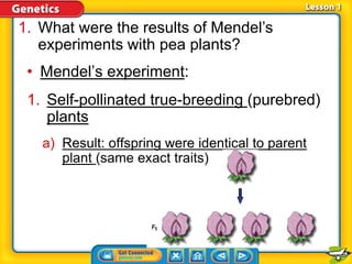 Ch 5.1 Mendel's Experiments with Peas | PPTX