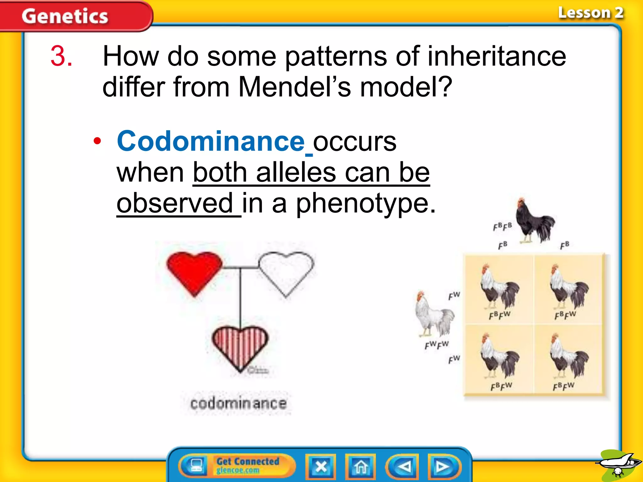 Ch 5.2 understanding inheritance | PPTX