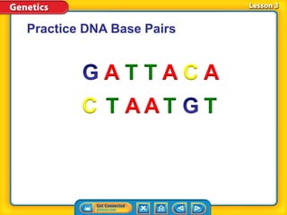 Practice DNA Base Pairs
A T T A C A
C TT A A T
 