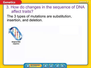 The 3 types of mutations are substitution,
insertion, and deletion.
3. How do changes in the sequence of DNA
affect traits?
 
