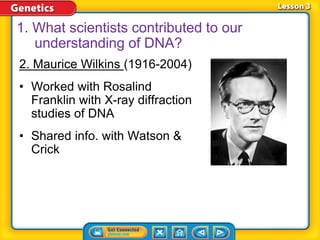 2. Maurice Wilkins (1916-2004)
• Worked with Rosalind
Franklin with X-ray diffraction
studies of DNA
• Shared info. with Watson &
Crick
1. What scientists contributed to our
understanding of DNA?
 