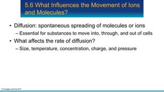 © Cengage Learning 2015
5.6 What Influences the Movement of Ions
and Molecules?
• Diffusion: spontaneous spreading of molecules or ions
– Essential for substances to move into, through, and out of cells
• What affects the rate of diffusion?
– Size, temperature, concentration, charge, and pressure
 