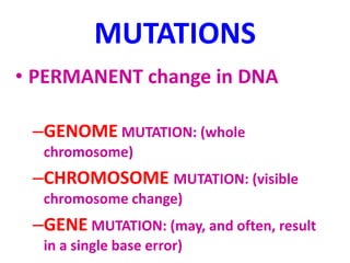 Mutations Description Ch5-Genetics.ppt