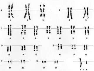 Ch5-Genetics.ppt