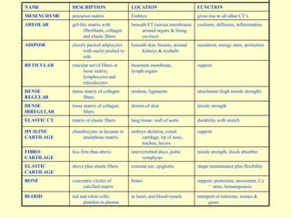 Ch5 Ppt Lect | PPT