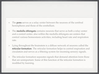 The pons serves as a relay center between the neurons of the cerebral
hemispheres and those of the cerebellum.

The medulla oblongata contains neurons that serve as both a relay center
and a control center. also within the medulla oblongata are centers that
control various homeostasis activities, including heart rate and respiration
rate.

Lying throughout the brainstem is a diffuse network of neurons called the
reticular formation. The reticular formation helps to control respiration and
circulation and serves as a ﬁltering system for incoming sensory signals.

The reticular formation separates signals that demand attention form those
that are unimportant. Some of this function of the reticular formation is
modiﬁed by learning.
 