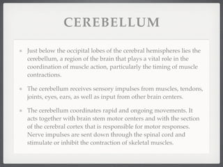 CEREBELLUM

Just below the occipital lobes of the cerebral hemispheres lies the
cerebellum, a region of the brain that plays a vital role in the
coordination of muscle action, particularly the timing of muscle
contractions.

The cerebellum receives sensory impulses from muscles, tendons,
joints, eyes, ears, as well as input from other brain centers.

The cerebellum coordinates rapid and ongoing movements. It
acts together with brain stem motor centers and with the section
of the cerebral cortex that is responsible for motor responses.
Nerve impulses are sent down through the spinal cord and
stimulate or inhibit the contraction of skeletal muscles.
 