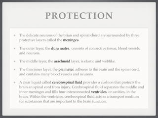 PROTECTION
The delicate neurons of the brian and spinal chord are surrounded by three
protective layers called the meninges.

The outer layer, the dura mater, consists of connective tissue, blood vessels,
and neurons.

The middle layer, the arachnoid layer, is elastic and weblike.

The thin inner layer, the pia mater, adheres to the brain and the spinal cord,
and contains many blood vessels and neurons.

A clear liquid called cerebrospinal ﬂuid provides a cushion that protects the
brain an spinal cord from injury. Cerebrospinal ﬂuid separates the middle and
inner meninges and ﬁlls four interconnected ventricles, or cavities, in the
brain. Within the ventricles, cerebrospinal ﬂuid acts as a transport medium
for substances that are important to the brain function.
 