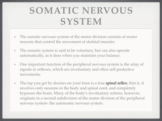 SOMATIC NERVOUS
         SYSTEM
The somatic nervous system of the motor division consists of motor
neurons that control the movement of skeletal muscles.

The somatic system is said to be voluntary, but can also operate
automatically, as it does when you maintain your balance.

One important function of the peripheral nervous system is the relay of
signals in reﬂexes, which are involuntary and often self-protective
movements.

The tap you get by doctors on your knee is a true spinal reﬂex; that is, it
involves only neurons in the body and spinal cord, and completely
bypasses the brain. Many of the body’s involuntary actions, however,
originate in a second subdivision of the motor division of the peripheral
nervous system- the autonomic nervous system.
 
