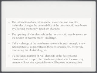 The interaction of neurotransmitter molecules and receptor
molecules changes the permeability of the postsynaptic membrane
by affecting chemically-gated ion channels.

The opening of Na+ channels in the postsynaptic membrane cause
the neuron to become more + in charge.

If this + change of the membrane potential is great enough, a new
action potential is generated in the receiving neuron, effectively
continuing the electrical signal.

If a sufﬁcient number of Na+ channels in the postsynaptic
membrane fail to open, the membrane potential of the receiving
neuron will not rise appreciably or will become more negative.
 