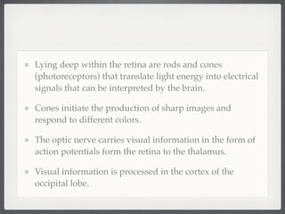 Lying deep within the retina are rods and cones
(photoreceptors) that translate light energy into electrical
signals that can be interpreted by the brain.

Cones initiate the production of sharp images and
respond to different colors.

The optic nerve carries visual information in the form of
action potentials form the retina to the thalamus.

Visual information is processed in the cortex of the
occipital lobe.
 