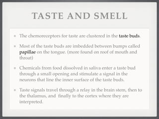 TASTE AND SMELL

The chemoreceptors for taste are clustered in the taste buds.

Most of the taste buds are imbedded between bumps called
papillae on the tongue. (more found on roof of mouth and
throat)

Chemicals from food dissolved in saliva enter a taste bud
through a small opening and stimulate a signal in the
neurons that line the inner surface of the taste buds.

Taste signals travel through a relay in the brain stem, then to
the thalamus, and ﬁnally to the cortex where they are
interpreted.
 