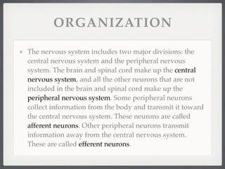 ORGANIZATION

The nervous system includes two major divisions: the
central nervous system and the peripheral nervous
system. The brain and spinal cord make up the central
nervous system, and all the other neurons that are not
included in the brain and spinal cord make up the
peripheral nervous system. Some peripheral neurons
collect information from the body and transmit it toward
the central nervous system. These neurons are called
afferent neurons. Other peripheral neurons transmit
information away from the central nervous system.
These are called efferent neurons.
 