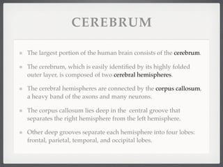 CEREBRUM

The largest portion of the human brain consists of the cerebrum.

The cerebrum, which is easily identiﬁed by its highly folded
outer layer, is composed of two cerebral hemispheres.

The cerebral hemispheres are connected by the corpus callosum,
a heavy band of the axons and many neurons.

The corpus callosum lies deep in the central groove that
separates the right hemisphere from the left hemisphere.

Other deep grooves separate each hemisphere into four lobes:
frontal, parietal, temporal, and occipital lobes.
 