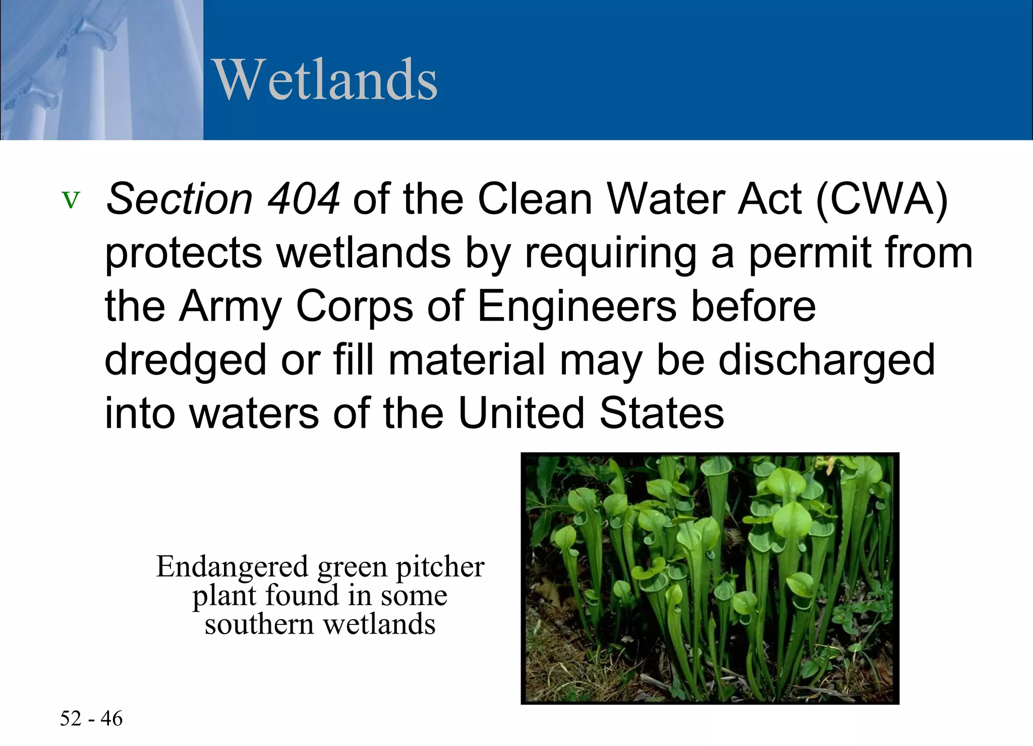 Wetlands
v   Section 404 of the Clean Water Act (CWA)
    protects wetlands by requiring a permit from
    the Army Corps of Engineers before
    dredged or fill material may be discharged
    into waters of the United States


          Endangered green pitcher
            plant found in some
             southern wetlands

52 - 46
 