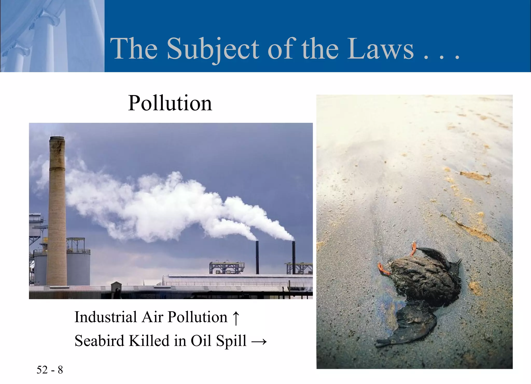 The Subject of the Laws . . .
                 Pollution




         Industrial Air Pollution ↑
         Seabird Killed in Oil Spill →
52 - 8
 