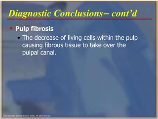 Pulp fibrosis The decrease of living cells within the pulp causing fibrous tissue to take over the pulpal canal.   Diagnostic Conclusions   cont’d   