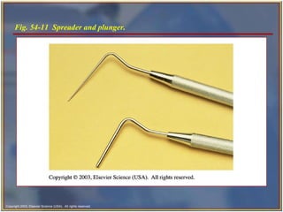 Fig. 54-11  Spreader and plunger.    