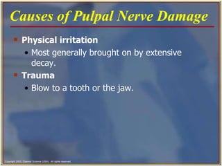 Physical irritation   Most generally brought on by extensive decay. Trauma   Blow to a tooth or the jaw.  Causes of Pulpal Nerve Damage   