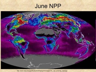 June NPP http://www.uwsp.edu/geo/faculty/lemke/geog101/images/14c_npp_junemap_nasa.jpg 