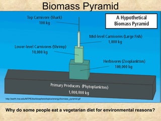 Biomass Pyramid Why do some people eat a vegetarian diet for environmental reasons? http://earth.rice.edu/MTPE/bio/biosphere/topics/energy/biomass_pyramid.gif 