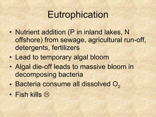 Eutrophication Nutrient addition (P in inland lakes, N offshore) from sewage, agricultural run-off, detergents, fertilizers Lead to temporary algal bloom Algal die-off leads to massive bloom in decomposing bacteria Bacteria consume all dissolved O 2 Fish kills   