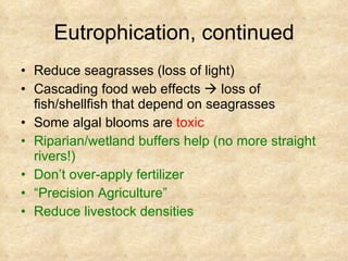 Eutrophication, continued Reduce seagrasses (loss of light) Cascading food web effects    loss of fish/shellfish that depend on seagrasses Some algal blooms are  toxic Riparian/wetland buffers help (no more straight rivers!) Don’t over-apply fertilizer “ Precision Agriculture” Reduce livestock densities 