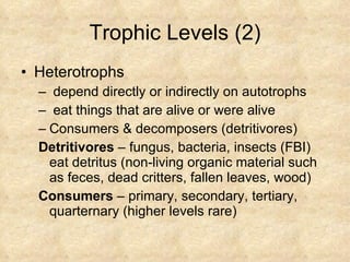 Trophic Levels (2) Heterotrophs  depend directly or indirectly on autotrophs eat things that are alive or were alive Consumers & decomposers (detritivores) Detritivores  – fungus, bacteria, insects (FBI) eat detritus (non-living organic material such as feces, dead critters, fallen leaves, wood) Consumers  – primary, secondary, tertiary, quarternary (higher levels rare) 