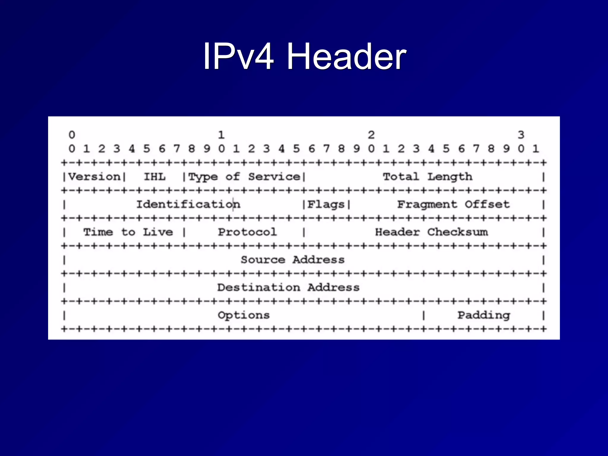 IPv4 Header
 