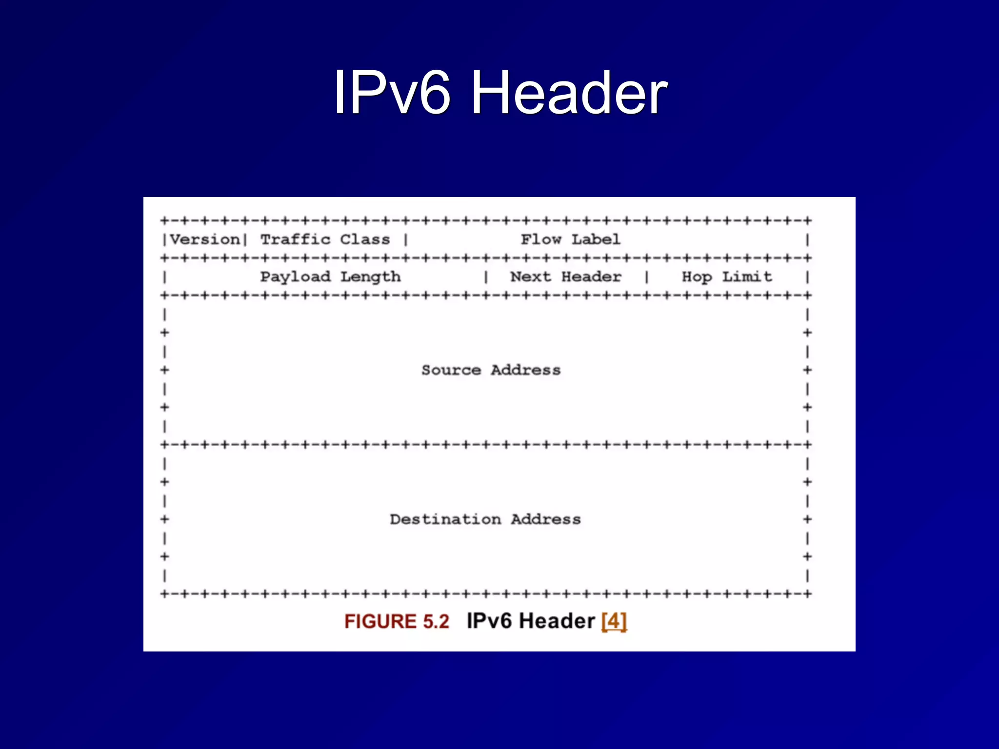 IPv6 Header
 